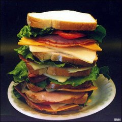 huge sandwich